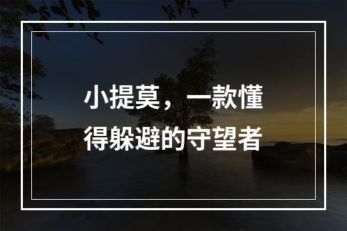 小提莫，一款懂得躲避的守望者