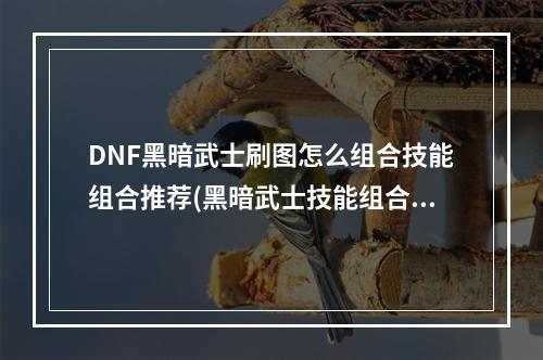 DNF黑暗武士刷图怎么组合技能组合推荐(黑暗武士技能组合)