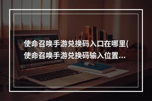 使命召唤手游兑换码入口在哪里(使命召唤手游兑换码输入位置介绍 使命召唤手游 )