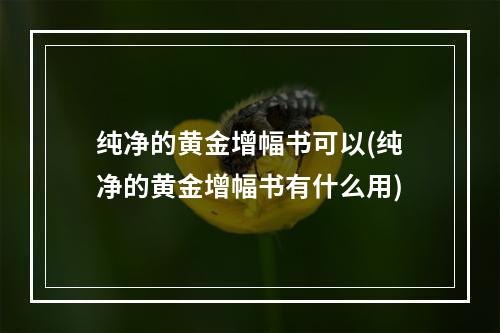 纯净的黄金增幅书可以(纯净的黄金增幅书有什么用)