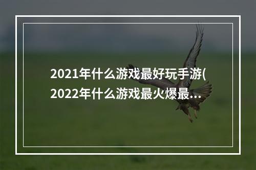 2021年什么游戏最好玩手游(2022年什么游戏最火爆最好玩)