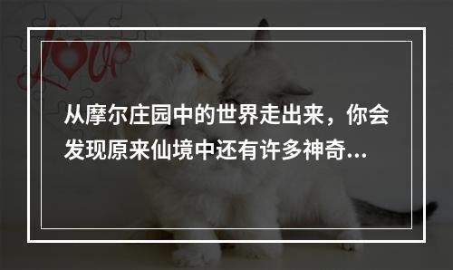 从摩尔庄园中的世界走出来，你会发现原来仙境中还有许多神奇的生物等待着你去发现。其中就有一种可爱的小动物——雪獭。那么，如何才能在摩尔庄园手游中成功地钓到雪獭呢？