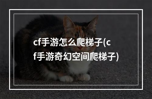 cf手游怎么爬梯子(cf手游奇幻空间爬梯子)