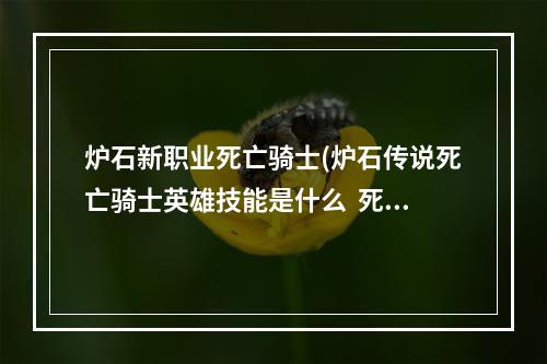 炉石新职业死亡骑士(炉石传说死亡骑士英雄技能是什么  死亡骑士英雄技能)