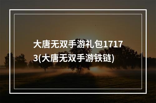 大唐无双手游礼包17173(大唐无双手游铁链)