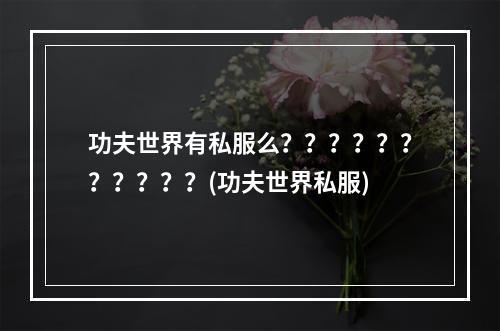 功夫世界有私服么？？？？？？？？？？？(功夫世界私服)