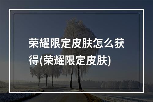 荣耀限定皮肤怎么获得(荣耀限定皮肤)