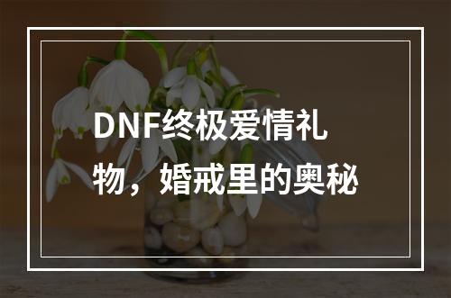 DNF终极爱情礼物，婚戒里的奥秘