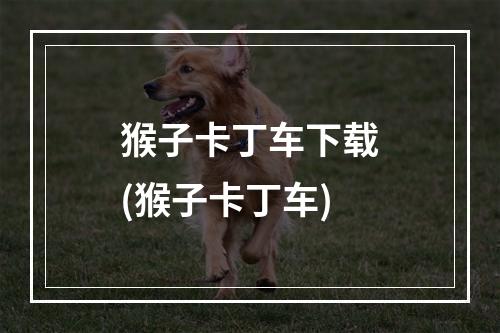 猴子卡丁车下载(猴子卡丁车)