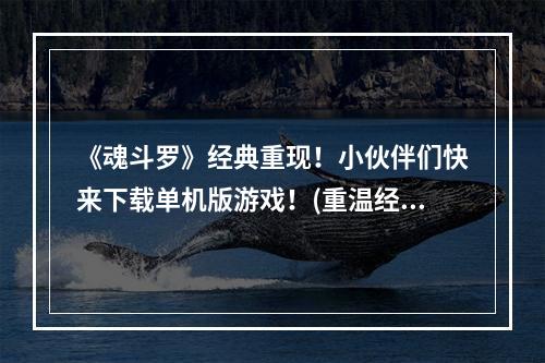 《魂斗罗》经典重现！小伙伴们快来下载单机版游戏！(重温经典，体验经典)(挑战极限，掌握战斗技巧——单机版《魂斗罗》下载！(不断挑战，成为战斗王者))