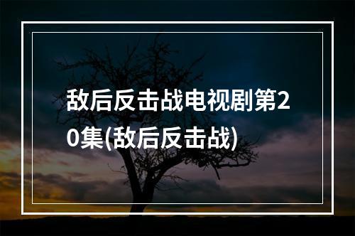 敌后反击战电视剧第20集(敌后反击战)