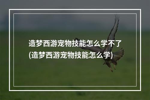 造梦西游宠物技能怎么学不了(造梦西游宠物技能怎么学)