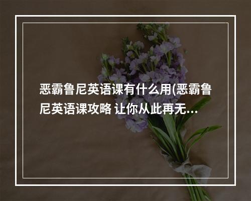 恶霸鲁尼英语课有什么用(恶霸鲁尼英语课攻略 让你从此再无挂科烦恼)