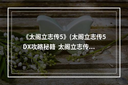 《太阁立志传5》(太阁立志传5DX攻略秘籍  太阁立志传V DX全攻略  攻略专区)