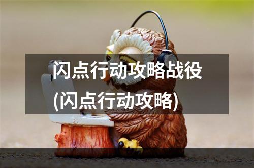 闪点行动攻略战役(闪点行动攻略)