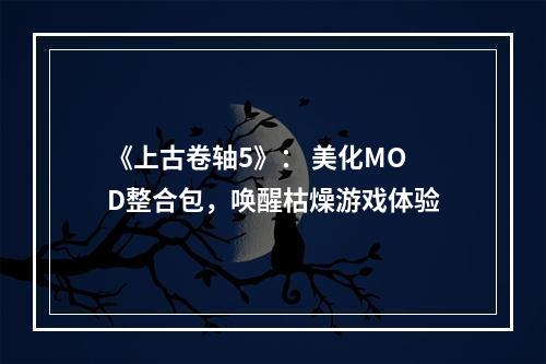 《上古卷轴5》： 美化MOD整合包，唤醒枯燥游戏体验