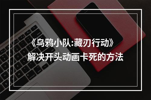 《乌鸦小队:藏刃行动》解决开头动画卡死的方法