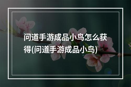 问道手游成品小鸟怎么获得(问道手游成品小鸟)