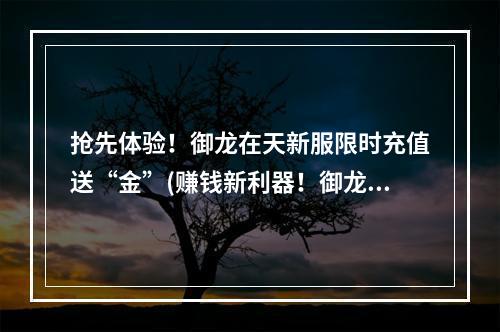 抢先体验！御龙在天新服限时充值送“金”(赚钱新利器！御龙在天新服充值福利等你来领)