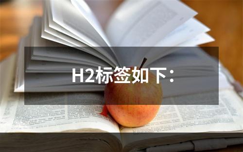 H2标签如下：