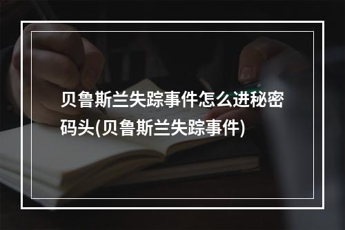 贝鲁斯兰失踪事件怎么进秘密码头(贝鲁斯兰失踪事件)