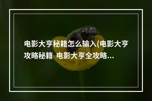 电影大亨秘籍怎么输入(电影大亨攻略秘籍  电影大亨全攻略  电影大亨攻略专区)