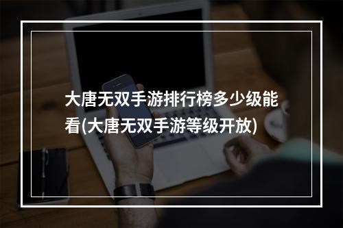 大唐无双手游排行榜多少级能看(大唐无双手游等级开放)