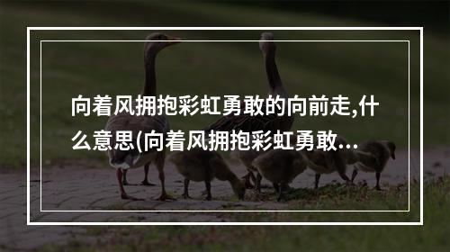 向着风拥抱彩虹勇敢的向前走,什么意思(向着风拥抱彩虹勇敢的向前走)