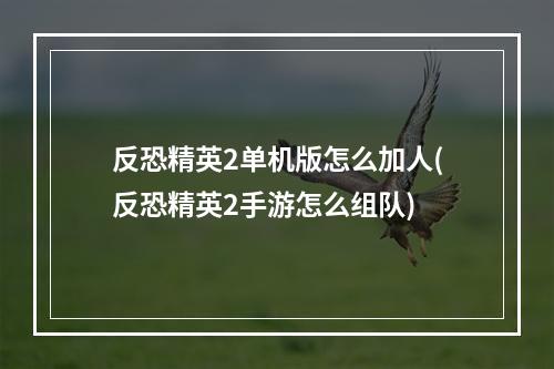 反恐精英2单机版怎么加人(反恐精英2手游怎么组队)