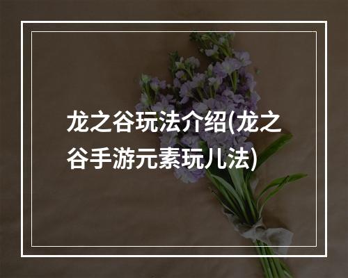 龙之谷玩法介绍(龙之谷手游元素玩儿法)