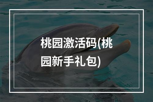 桃园激活码(桃园新手礼包)