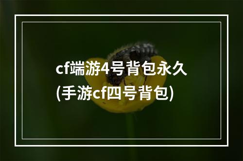 cf端游4号背包永久(手游cf四号背包)