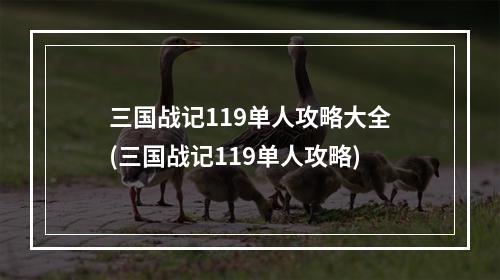 三国战记119单人攻略大全(三国战记119单人攻略)