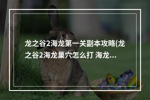 龙之谷2海龙第一关副本攻略(龙之谷2海龙巢穴怎么打 海龙巢穴打法攻略 )