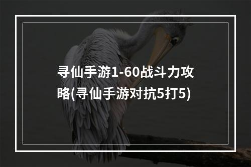 寻仙手游1-60战斗力攻略(寻仙手游对抗5打5)