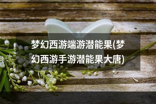 梦幻西游端游潜能果(梦幻西游手游潜能果大唐)