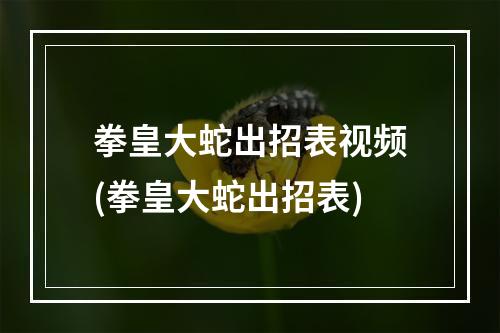 拳皇大蛇出招表视频(拳皇大蛇出招表)