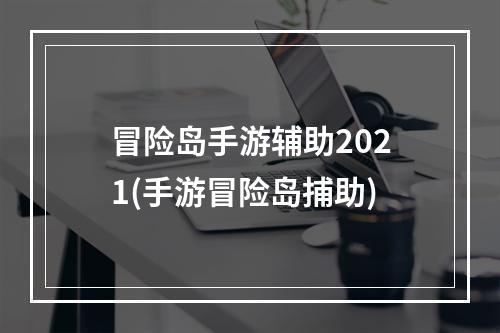 冒险岛手游辅助2021(手游冒险岛捕助)