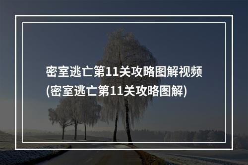 密室逃亡第11关攻略图解视频(密室逃亡第11关攻略图解)