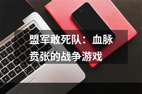 盟军敢死队：血脉贲张的战争游戏