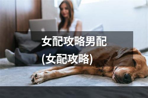 女配攻略男配(女配攻略)