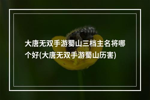 大唐无双手游蜀山三档主名将哪个好(大唐无双手游蜀山历害)