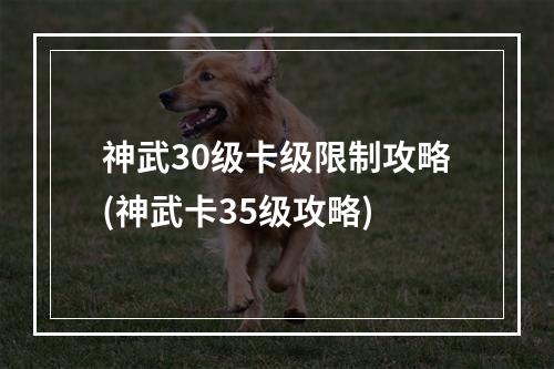 神武30级卡级限制攻略(神武卡35级攻略)