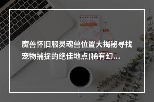 魔兽怀旧服灵魂兽位置大揭秘寻找宠物捕捉的绝佳地点(稀有幻兽)(80级玩家必看！魔兽怀旧服灵魂兽出没地点完美攻略(超值收藏攻略))