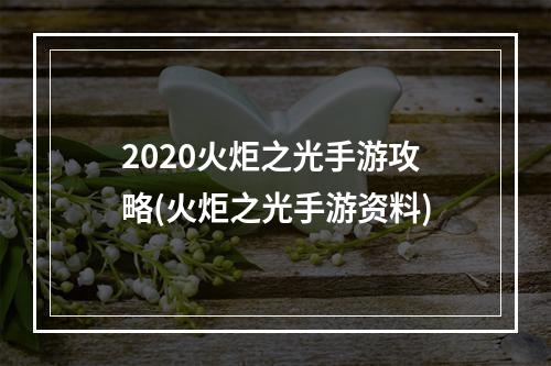 2020火炬之光手游攻略(火炬之光手游资料)