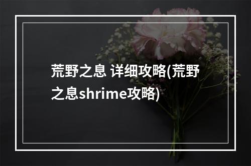 荒野之息 详细攻略(荒野之息shrime攻略)