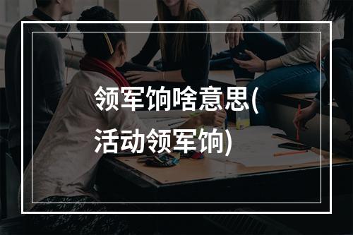 领军饷啥意思(活动领军饷)