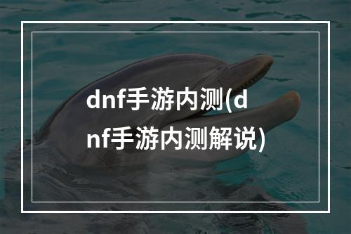 dnf手游内测(dnf手游内测解说)