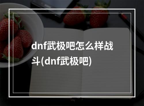 dnf武极吧怎么样战斗(dnf武极吧)