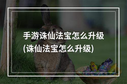 手游诛仙法宝怎么升级(诛仙法宝怎么升级)